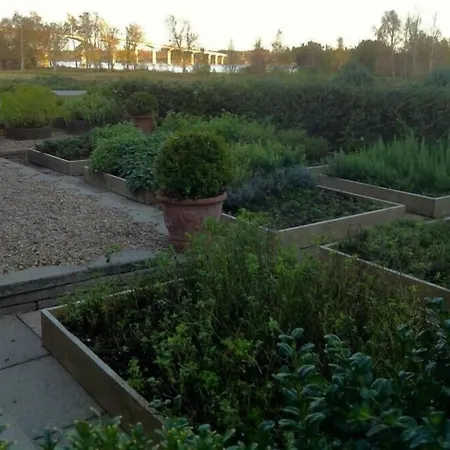 萨灵格苏德法格科隆酒店 宾馆 尼克宾摩斯