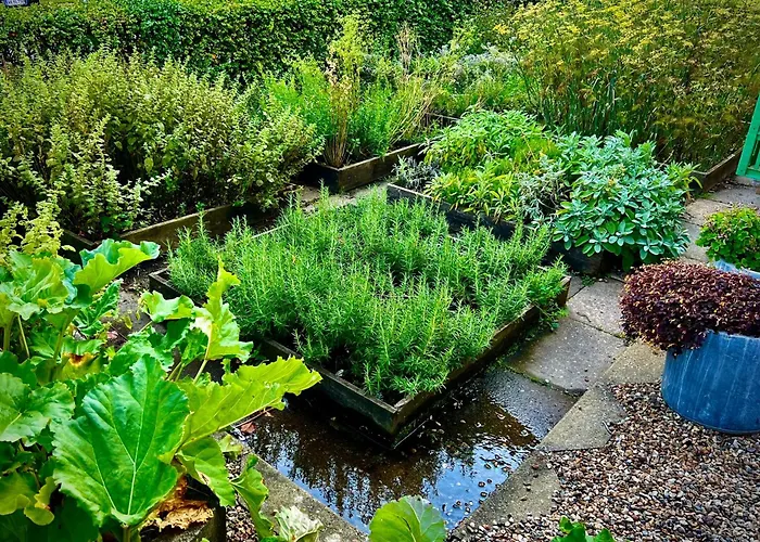 Sallingsund Faergekro 3* Nykøbing Mors